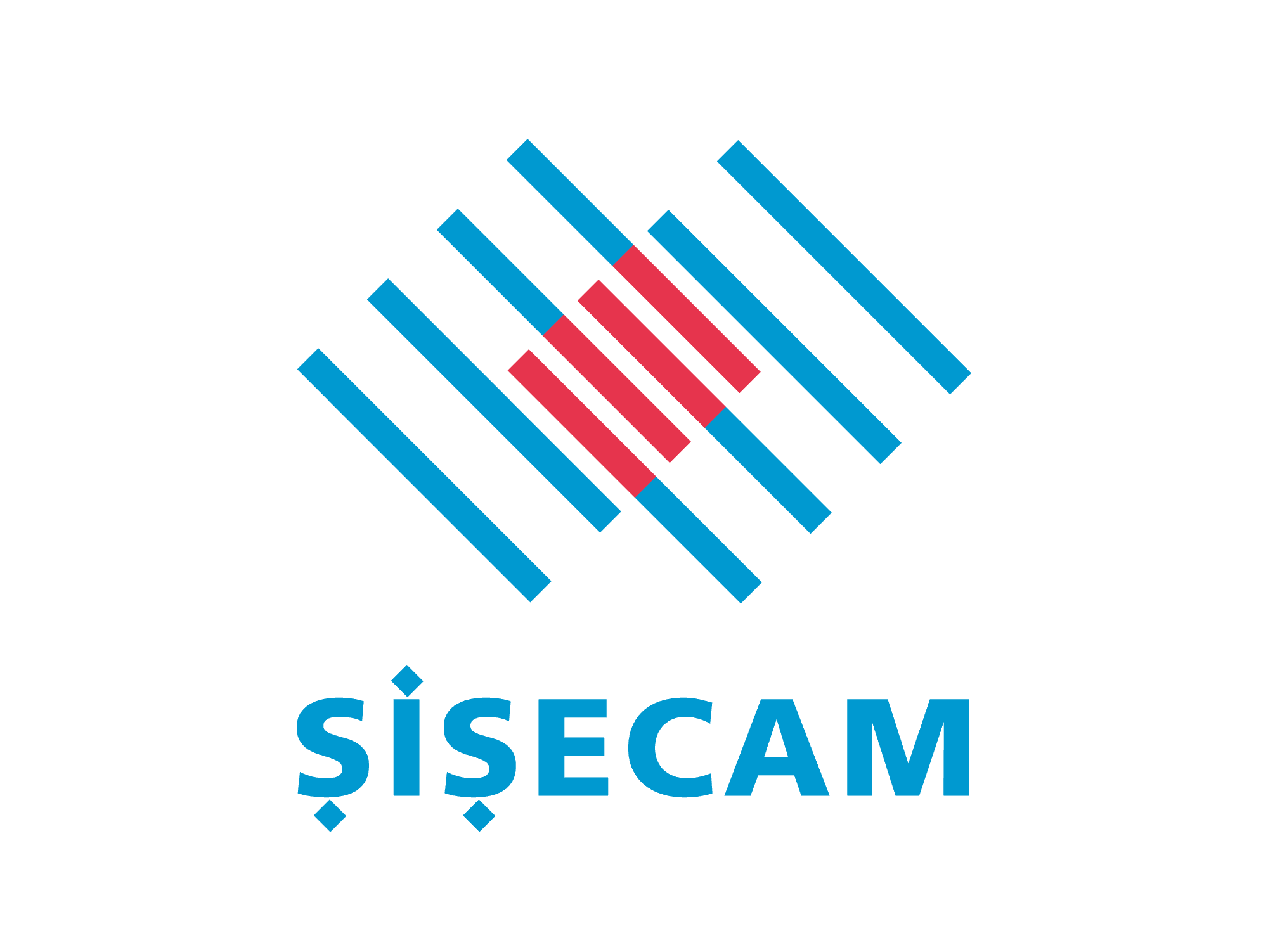 Şişecam